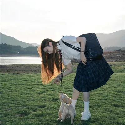 湾畔倾情第五季